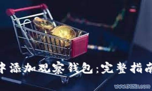 如何在imToken中添加观察钱包：完整指南与常见问题解答